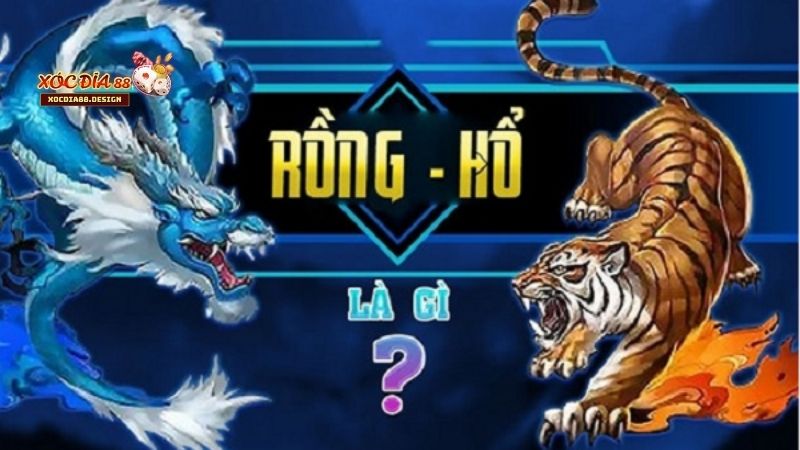 Bí Quyết Tăng Khả Năng Thắng trong Dragon Tiger Xocdia88