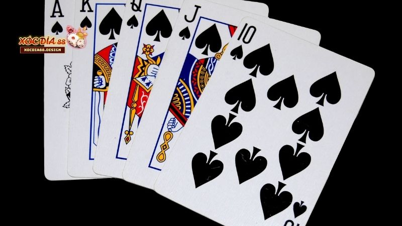 Chơi Phỏm Online Xocdia88: Những Lưu Ý Quan Trọng