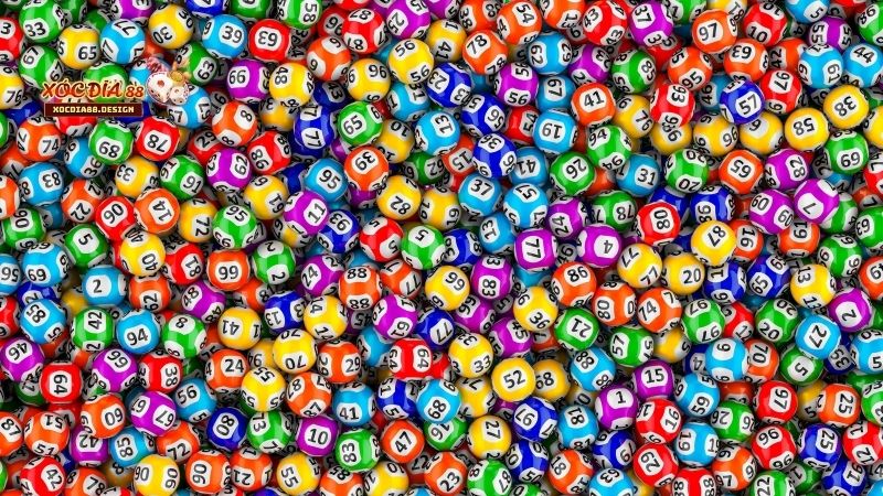 Cảnh báo rủi ro và trách nhiệm